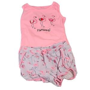 Freestyle 4T Flamingo Coordinating Top and Shorts